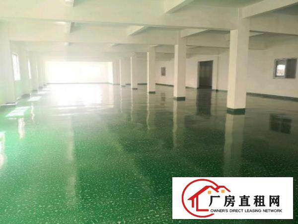  新塘全新二楼2600平，有地坪漆天花吊顶！200平起分！