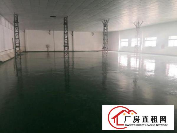  新塘全新二楼2600平，有地坪漆天花吊顶！200平起分！