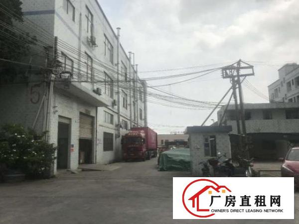  大岭山厚大路边原房东有行车精装修1000平可办环评