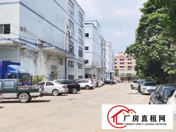 大岭山厚大路边原房东有行车精装修1000平可办环评