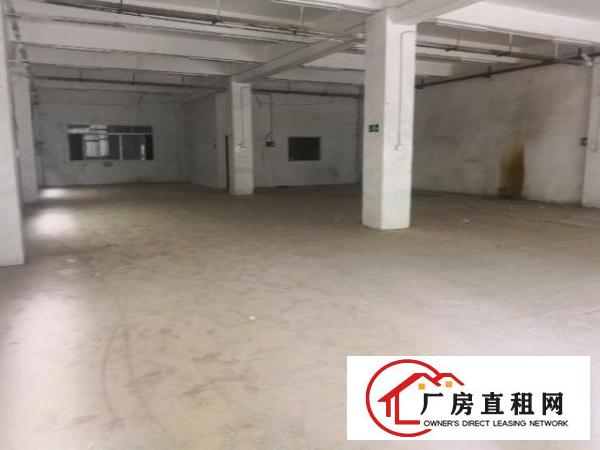  杨屋工业区标准一楼500平方，现成水电！