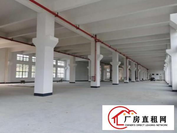  免租期半年！杨屋新建8层厂房40000平方出租！500起分！