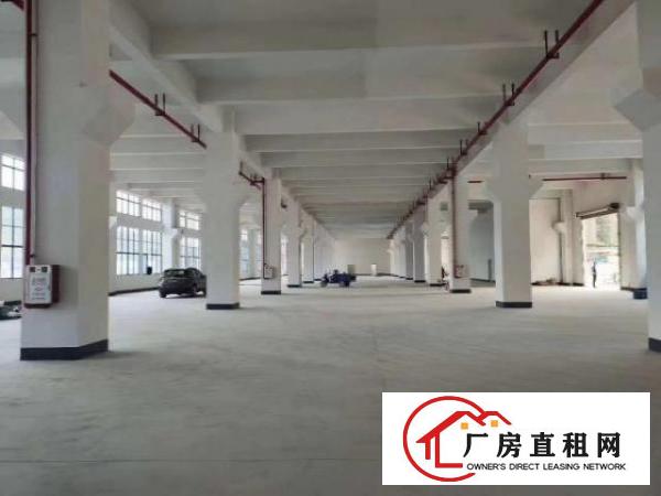  免租期半年！杨屋新建8层厂房40000平方出租！500起分！