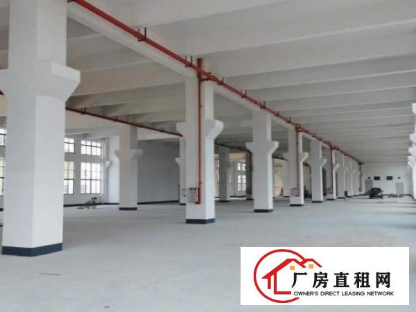 免租期半年！杨屋新建8层厂房40000平方出租！500起分！