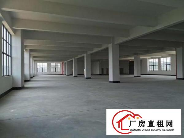  免租期半年！杨屋新建8层厂房40000平方出租！500起分！