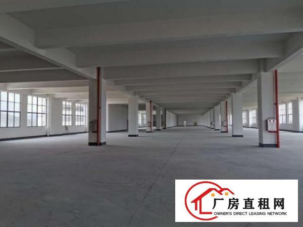  免租期半年！杨屋新建8层厂房40000平方出租！500起分！