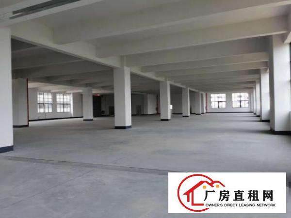  免租期半年！杨屋新建8层厂房40000平方出租！500起分！