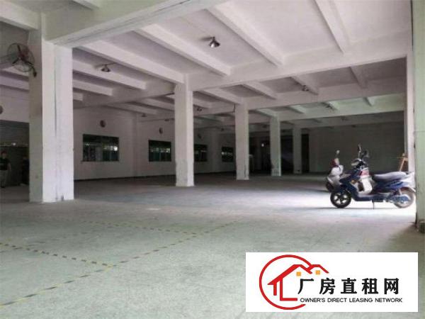  出租大岭山镇一楼厂房实际面积800平，可进大车