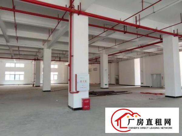  精装厂房，可分租，空地大