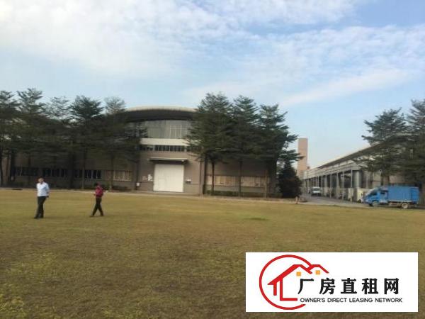  大岭山独栋砖墙到顶厂房滴水10米高空地大