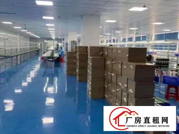  大岭山镇龙大高速附近可办环评原房东厂房