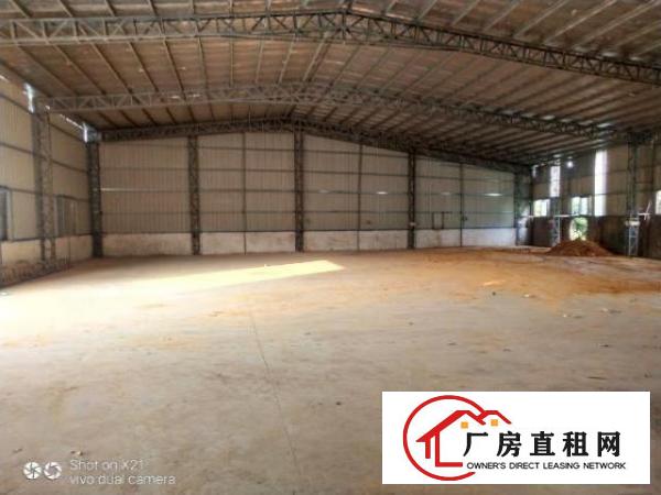  大岭山原房东独院厂房1500平方