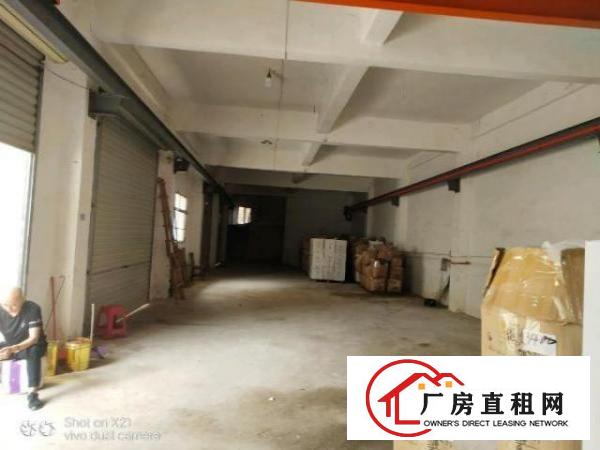  大岭山杨屋村新空出一楼带装修行车厂房560平方
