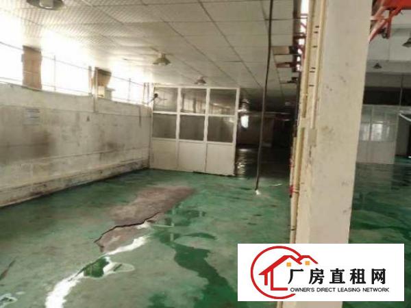  大岭山工业园带装修厂房680平方
