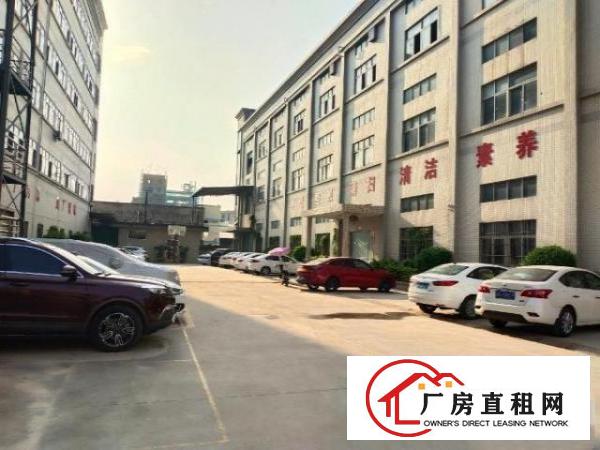  大岭山工业园带装修厂房680平方
