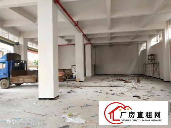  大岭山向东村原房东新建厂房520平方