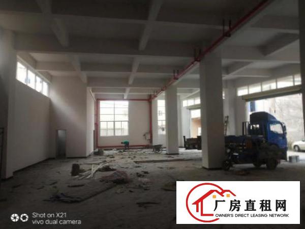  大岭山向东村原房东新建厂房520平方