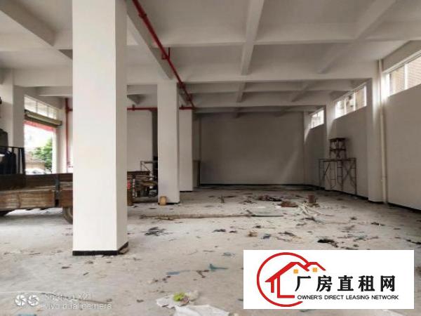  大岭山向东村原房东新建厂房520平方