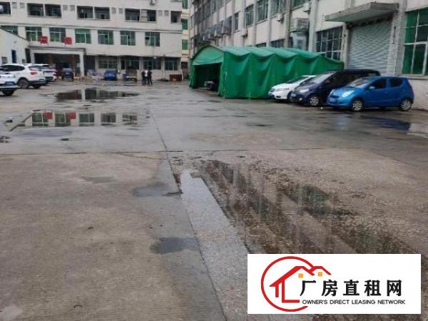  大塘带现成装修500平方厂房出租