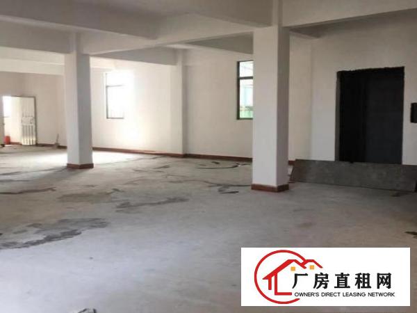  大岭山杨屋村，自家全新厂房出租