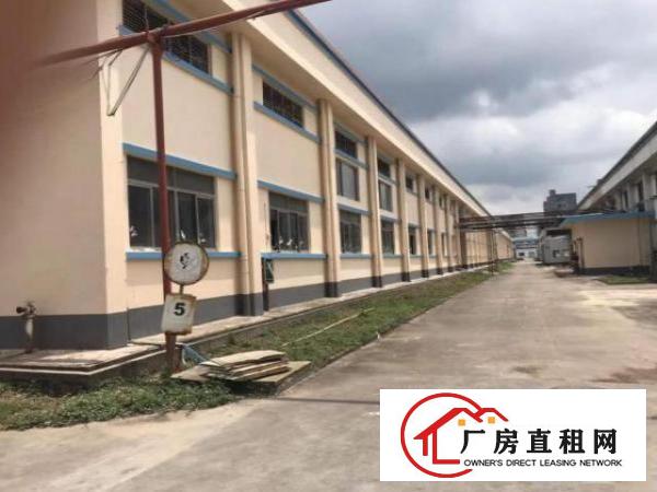 大岭山镇新出花园式厂房总面积86460平方，500起分租