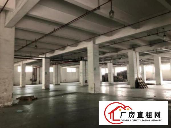  大岭山镇新出花园式厂房总面积86460平方，500起分租