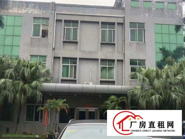  跳楼低价出租大岭山镇大片美工业区标准厂房