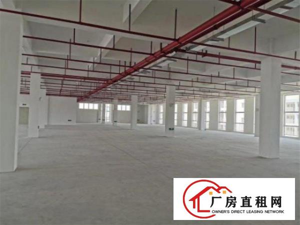 大岭山工业区旁、空地大、价格优惠，招工方便