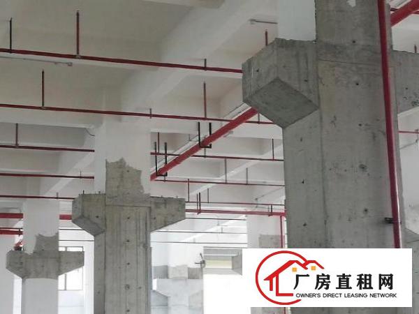  厚大路独院厂房1800平米