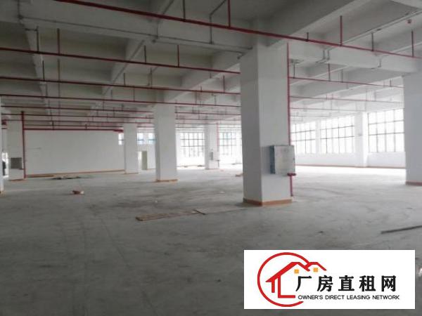  厚大路独院厂房1800平米