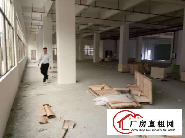  大岭山鸡翅岭村工业园一楼厂房出租850平米厂房出租