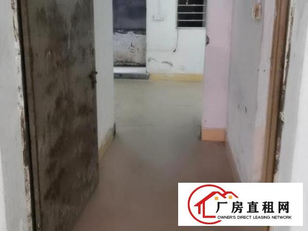  厂房或者仓库，房东直租，价格实惠