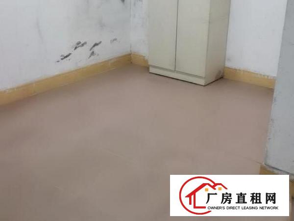  厂房或者仓库，房东直租，价格实惠