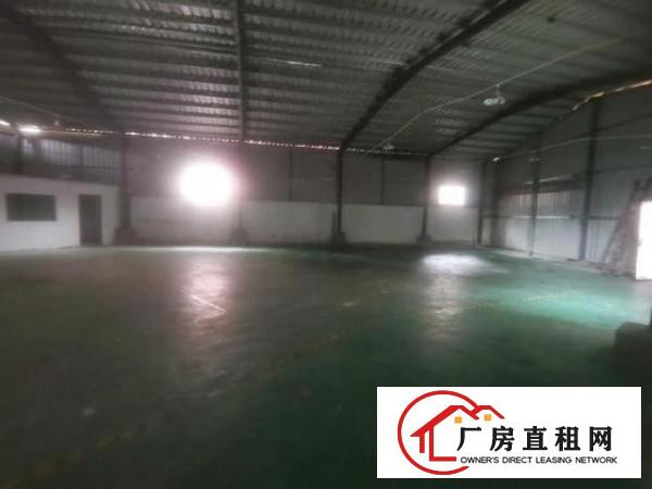  新出大路边原房东一楼400平实际面积有办公室钢构铁皮