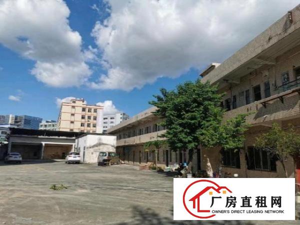  石大路边新出独院三层厂房11000平方