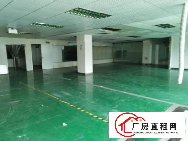  大岭山厂房租售，大小分租，无尘车间，铁皮房，标准厂房