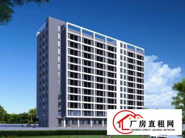  大岭山原房东全新红本产业园14万平方厂房招租