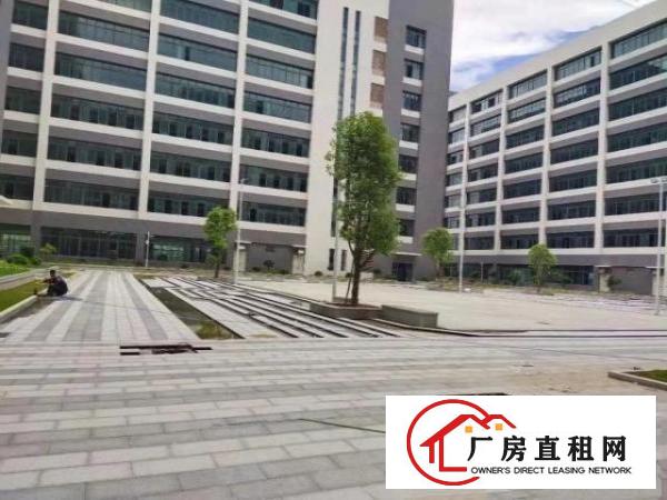  大岭山原房东全新红本产业园14万平方厂房招租