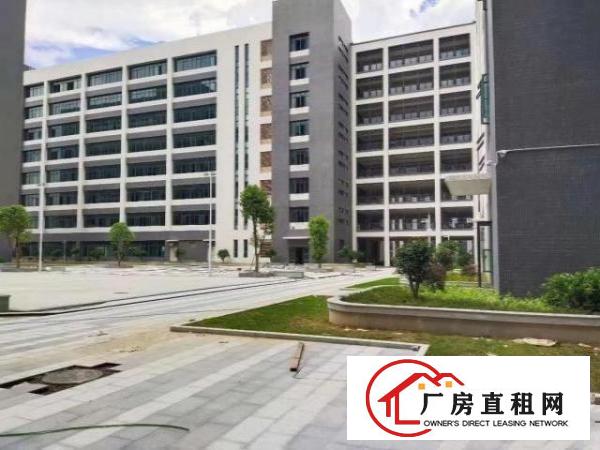  大岭山原房东全新红本产业园14万平方厂房招租