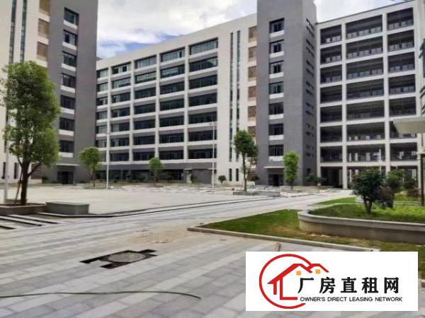  大岭山原房东全新红本产业园14万平方厂房招租