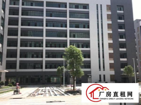  大岭山原房东全新红本产业园14万平方厂房招租