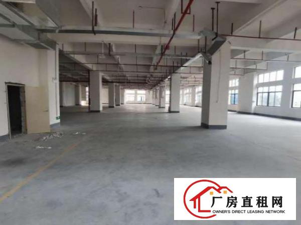  出租大岭山杨屋楼上1500平精装修厂房，房东直租，拎包入住！