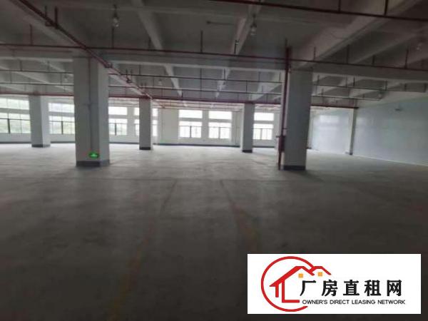  出租大岭山杨屋楼上1500平精装修厂房，房东直租，拎包入住！