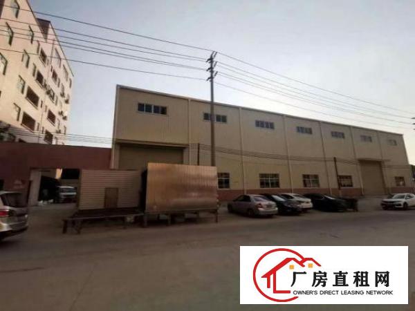  大岭山镇原房东杨屋12米全新钢构1300平方出租，可分租