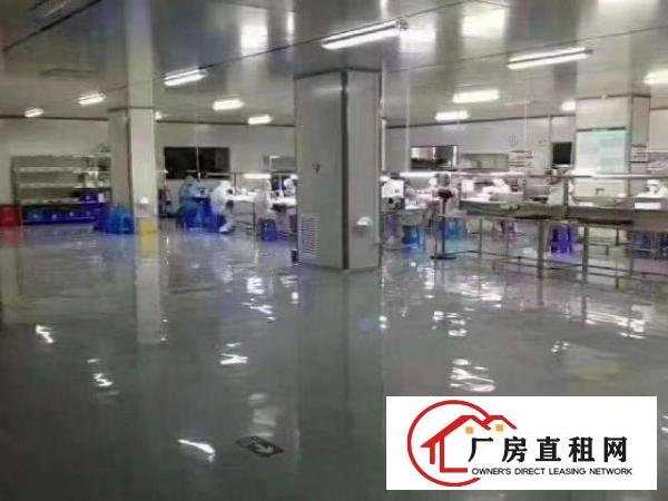  大岭山花园式厂房带豪华装修6500平可分租