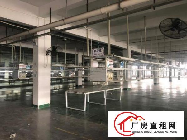  大岭山花园式厂房带豪华装修6500平可分租