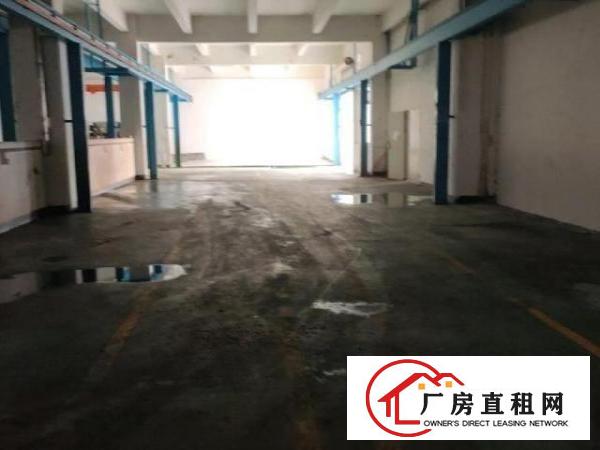  大岭山向东国道边工业园厂房出租