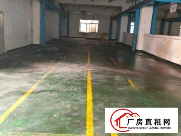  大岭山向东国道边工业园厂房出租