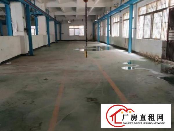  大岭山向东国道边工业园厂房出租