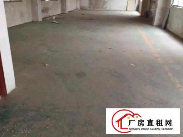  杨屋300平方一楼出租